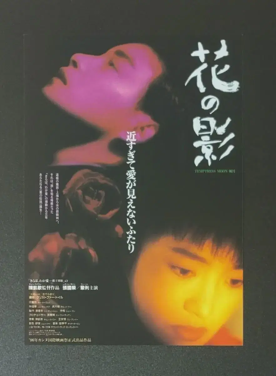 [영화팜플렛] 풍월 B 일본전단지 (1997) 장국영 공리 천카이거